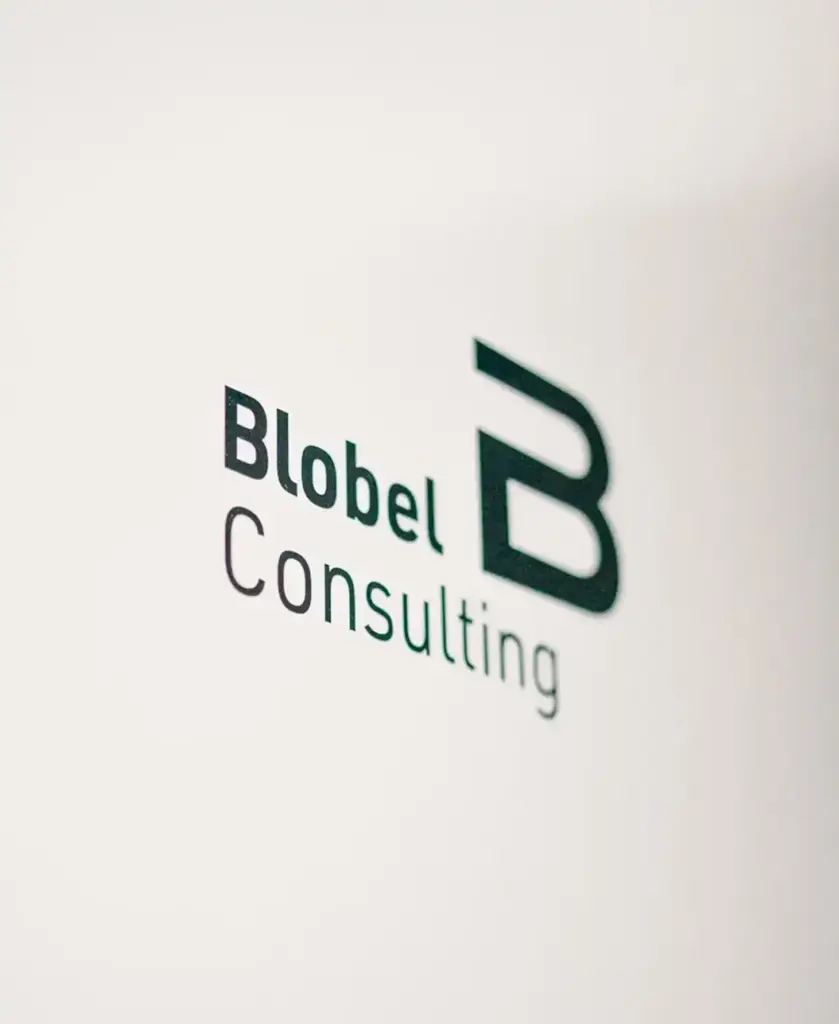 Firmenlogo von Blobel Consulting